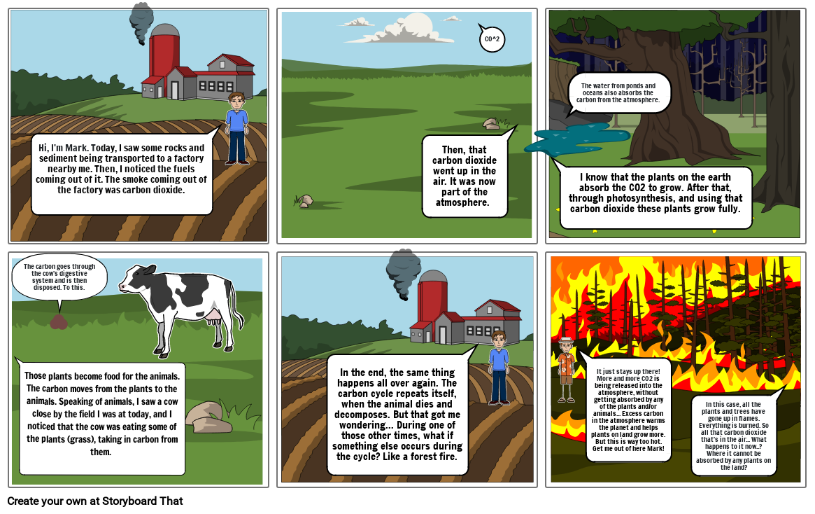 The Carbon Cycle