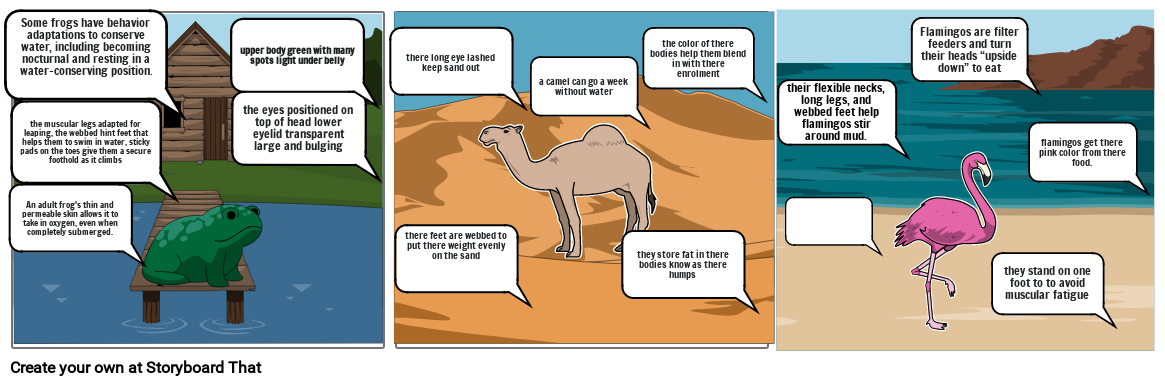 adaptation Storyboard por 5648b054