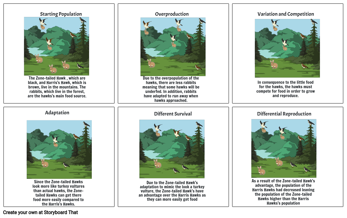 Science project cuz mr c abusive Storyboard por 572d6673