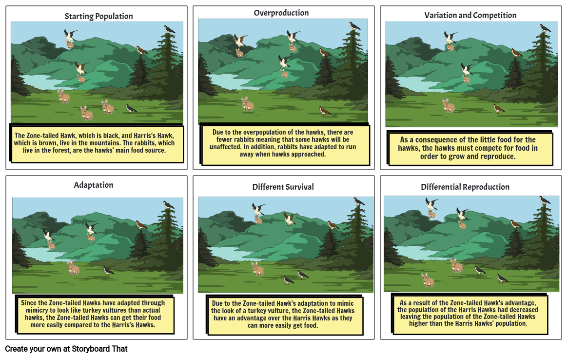 science-project-storyboard-by-572d6673