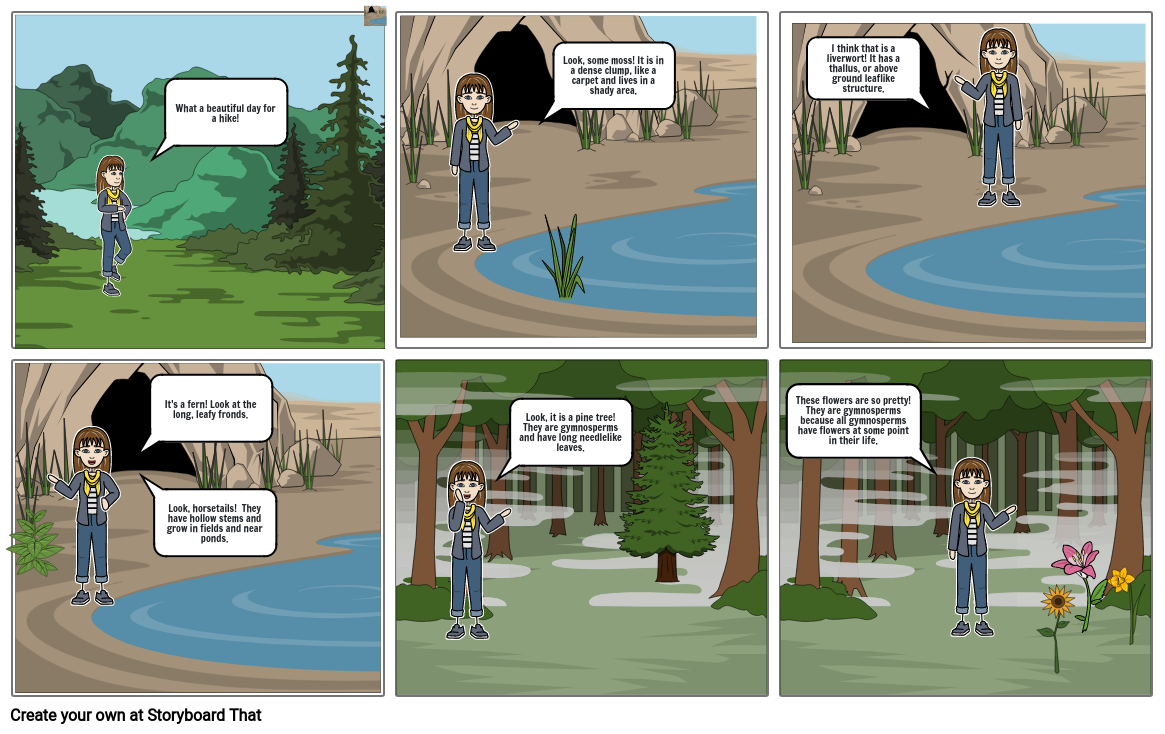 Hiking Story Storyboard by 58ad6fad