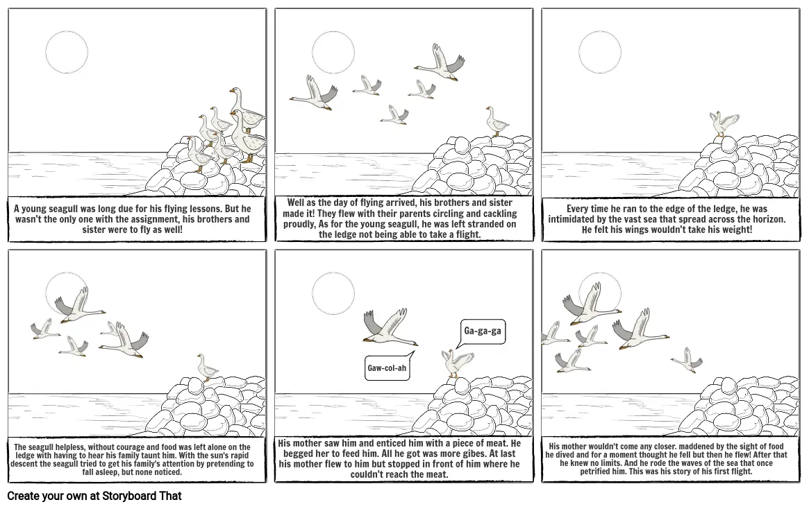 Story Board-Seagull