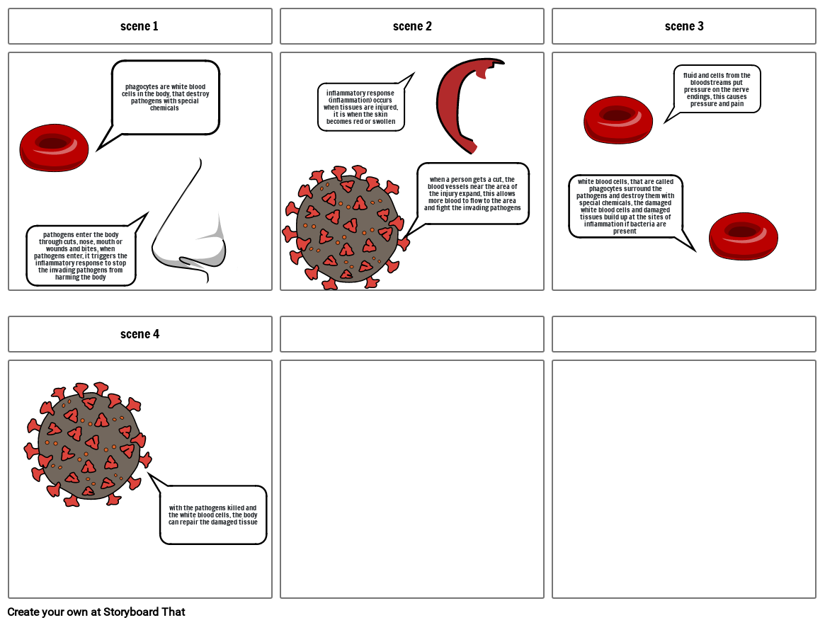 inflammatory response