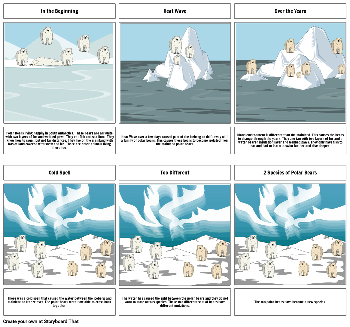 Speciation of Polar Bears Storyboard by 5d7116ad