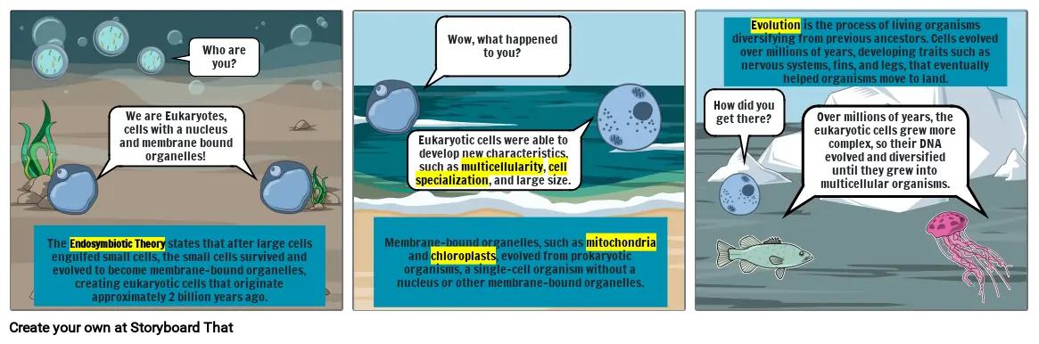 Origin of Eukaryotic Cells