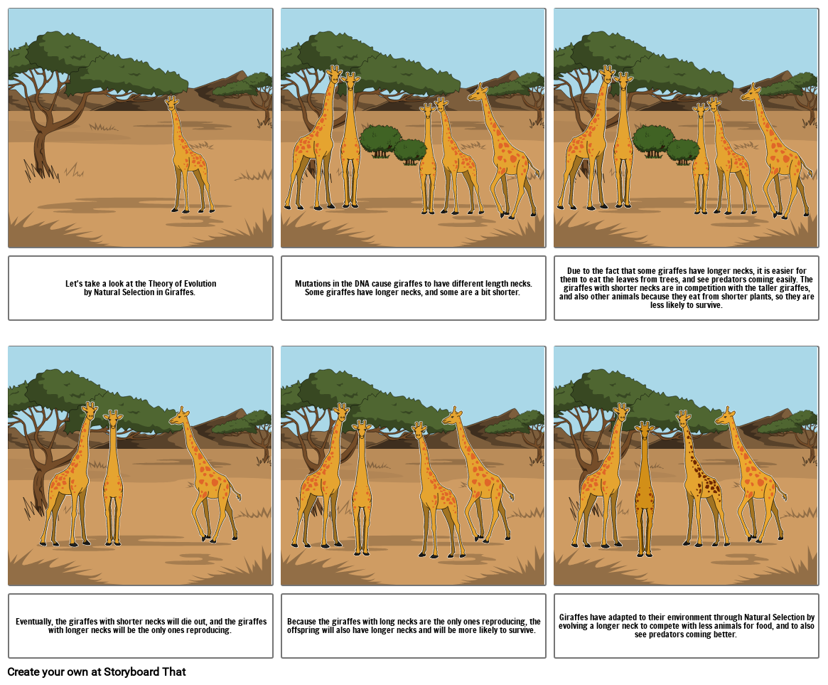 Natural Selection of Giraffes
