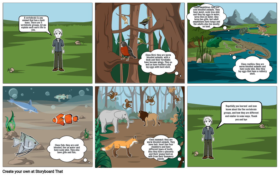 a vertebrates life Storyboard por 5ecdb8fd