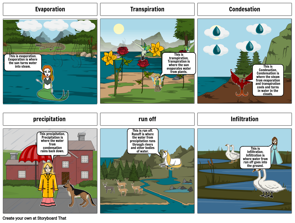 animals-and-the-water-cycle-storyboard-by-61d27992