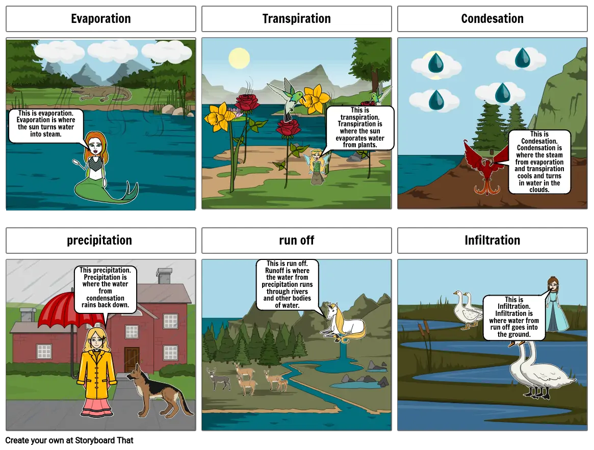 animals and the water cycle