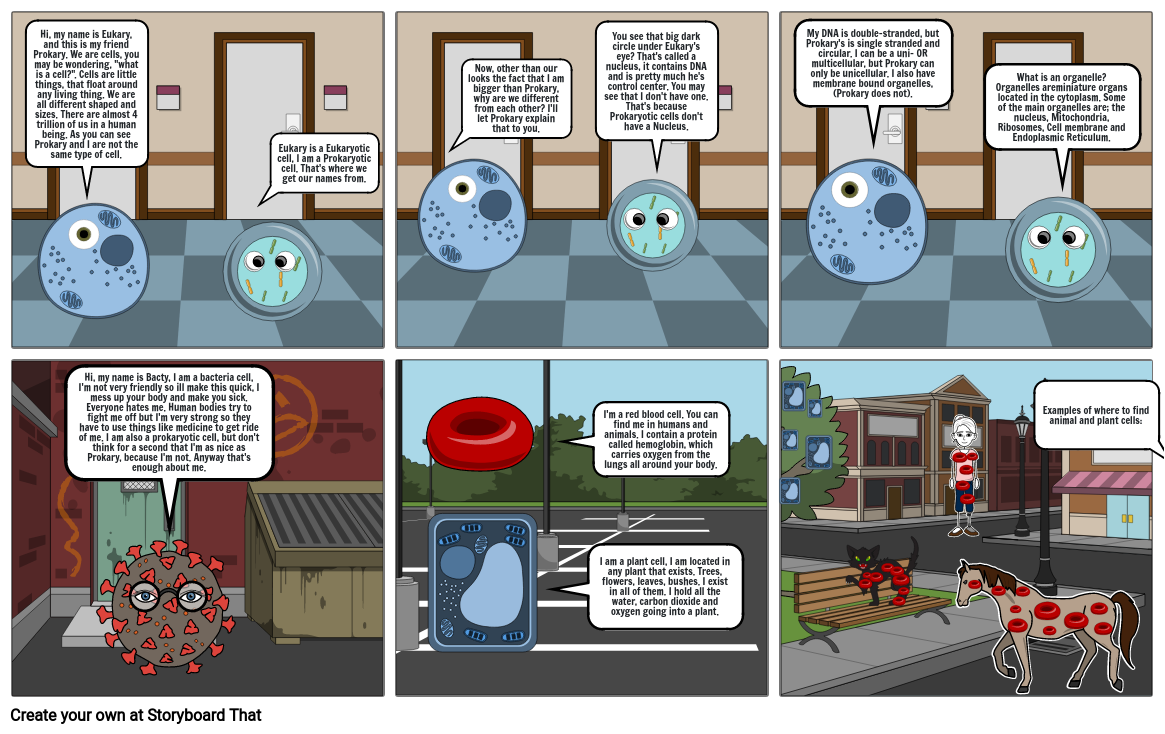 what-is-a-cell-storyboard-by-625156cb