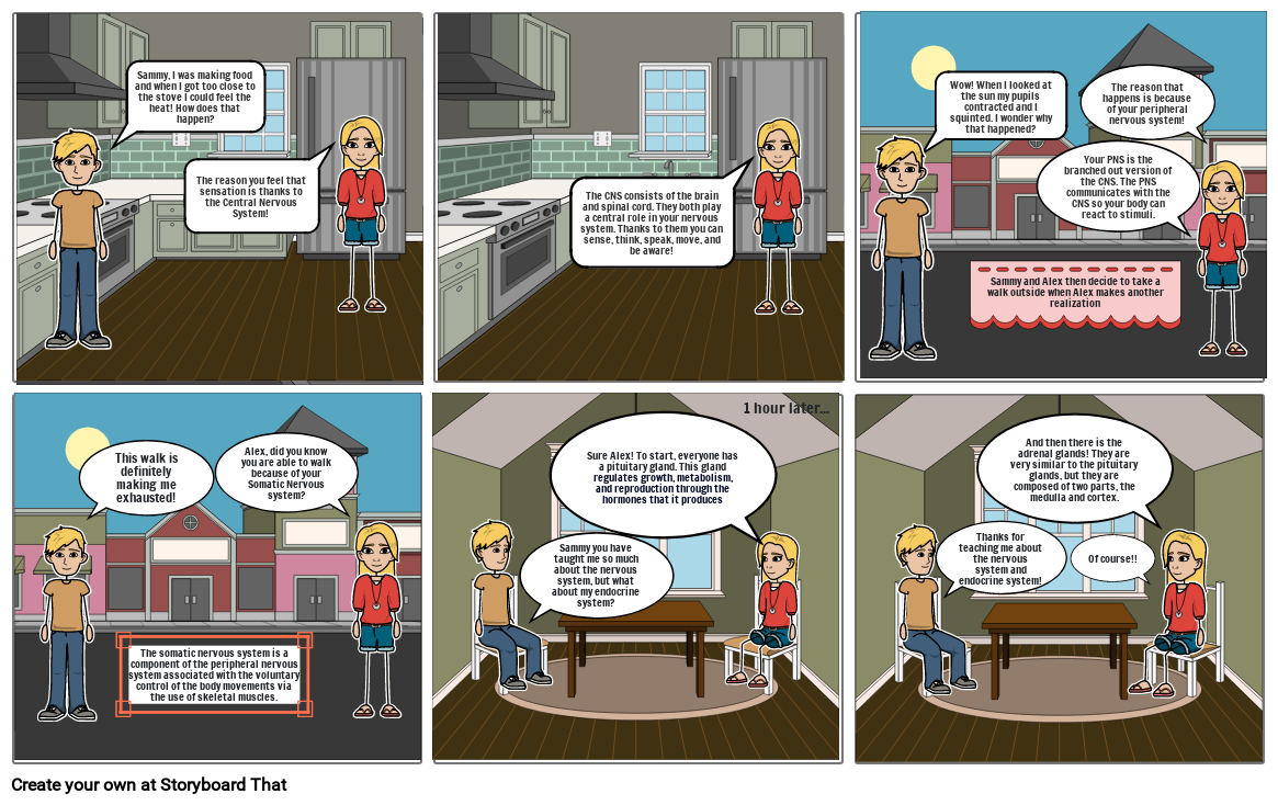 nervous-system-and-endocrine-system-storyboard