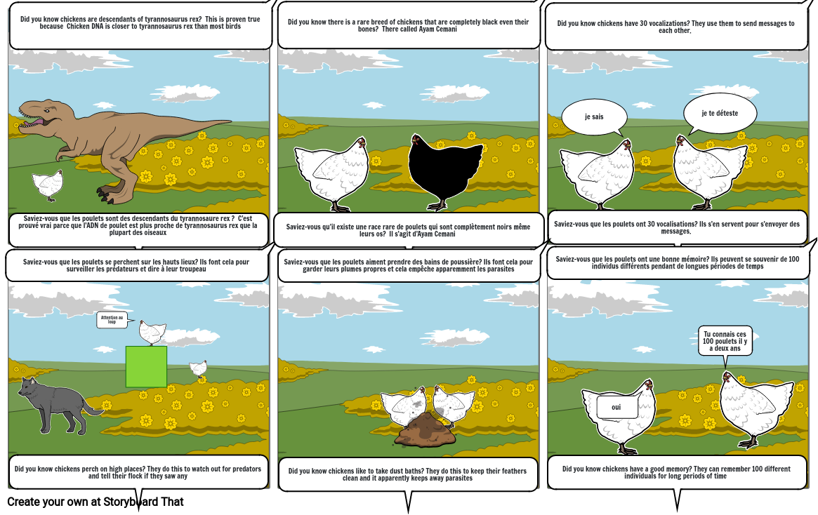 Chicken facts Storyboard by 660bafa4