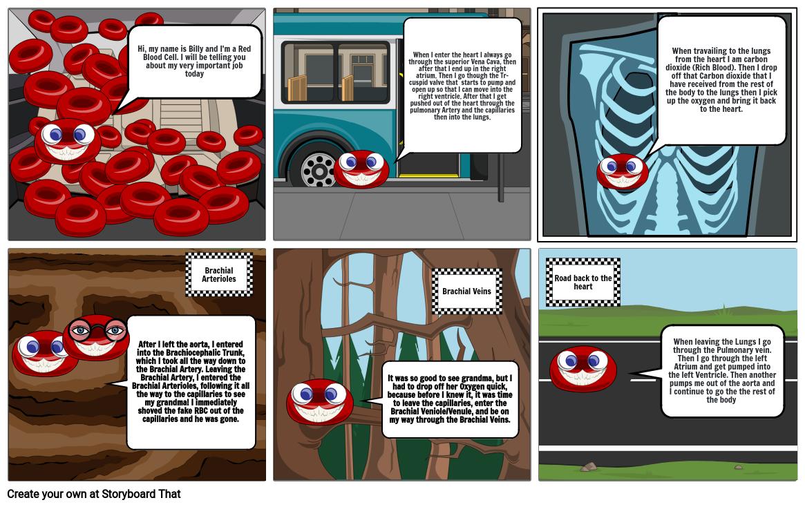 a-day-in-a-life-of-a-red-blood-cell-storyboard