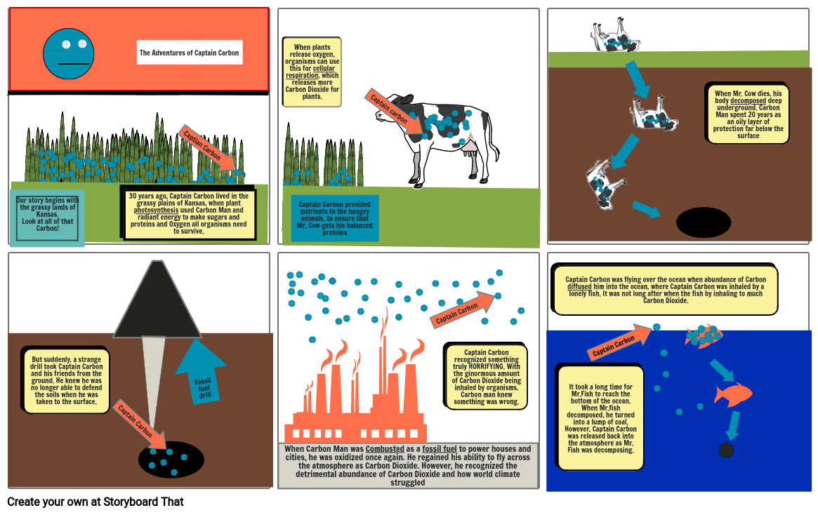 Carbon Cycle Storyboard by 68726f9e