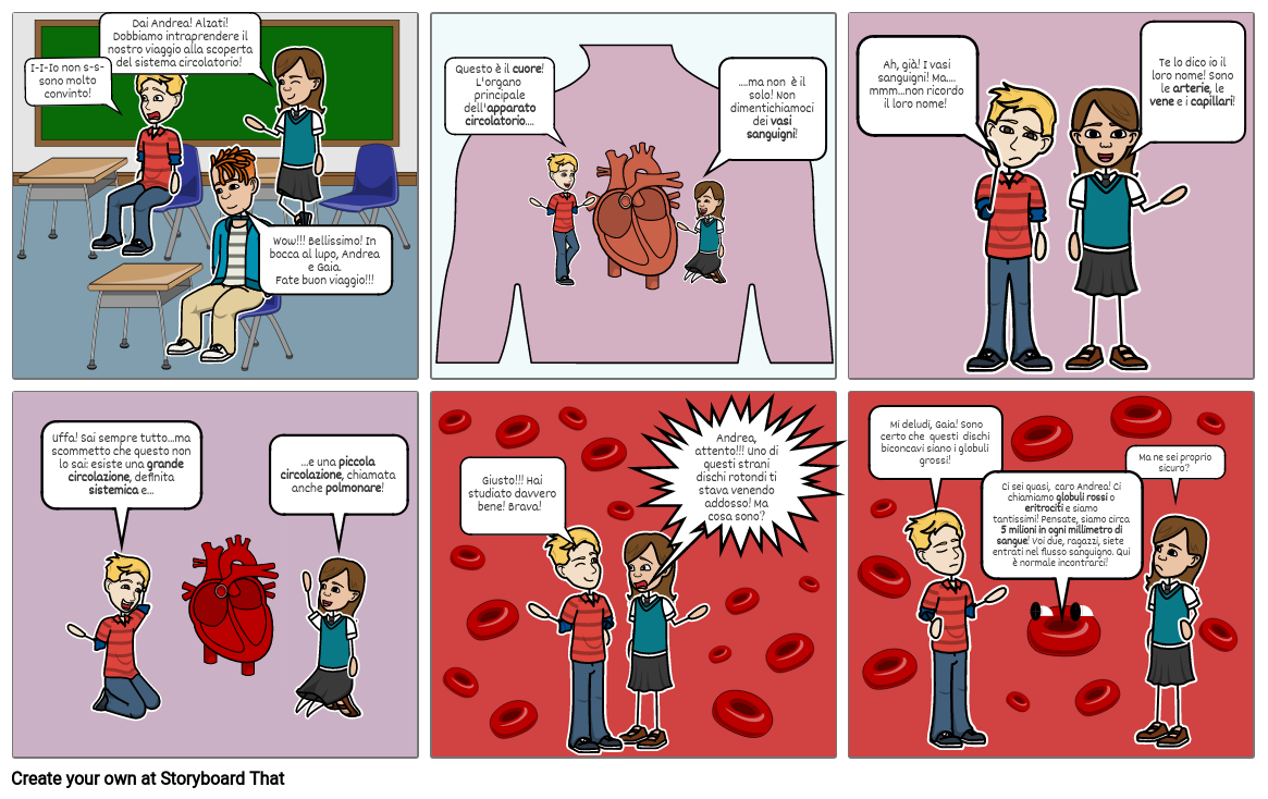 APPARATO CIRCOLATORIO Storyboard By 689375b4