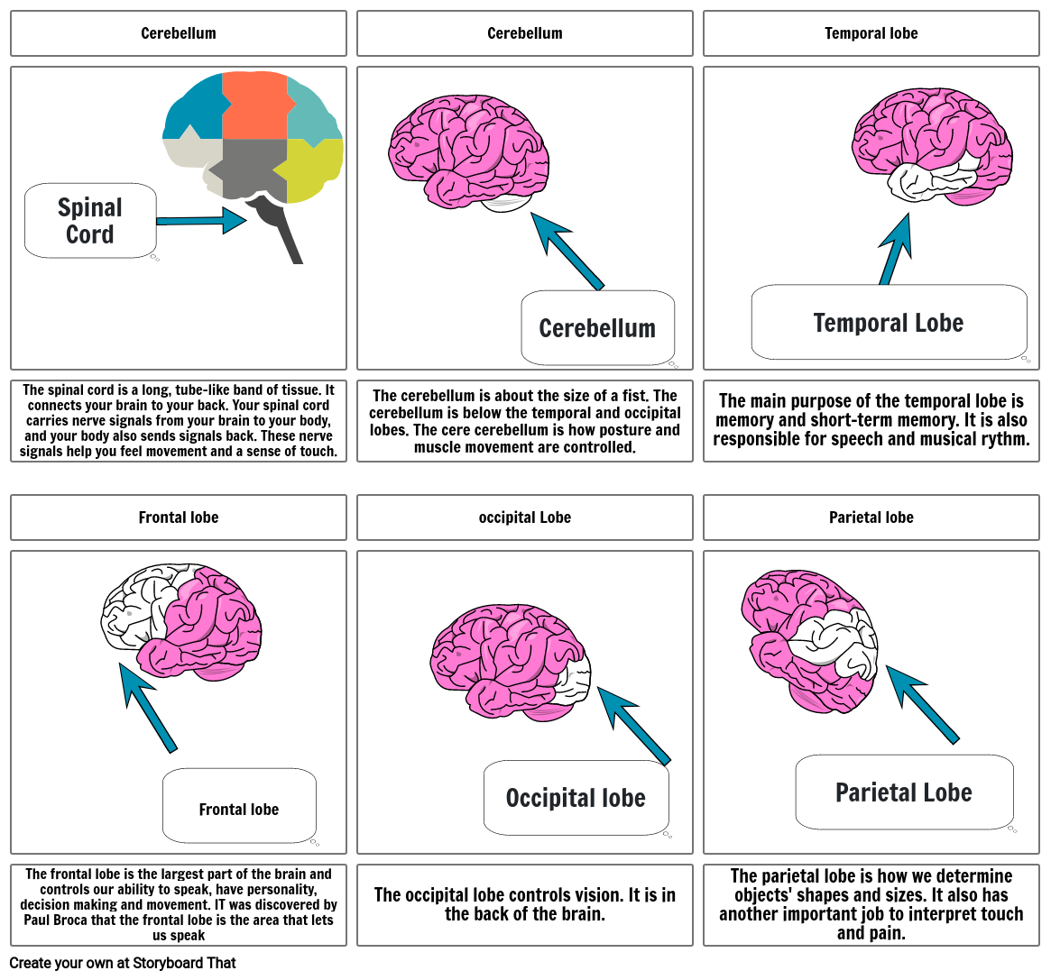 when-do-you-start-feeling-baby-fetal-movement-in-pregnancy-mind-body