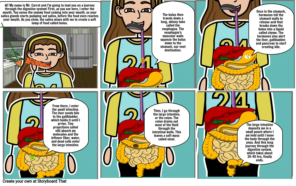 Digestive System Comic Strip