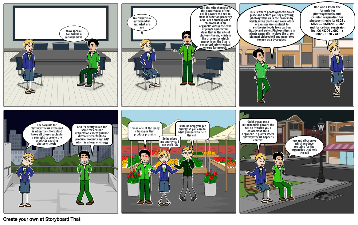 Mitochandria and chloroplast storyboard