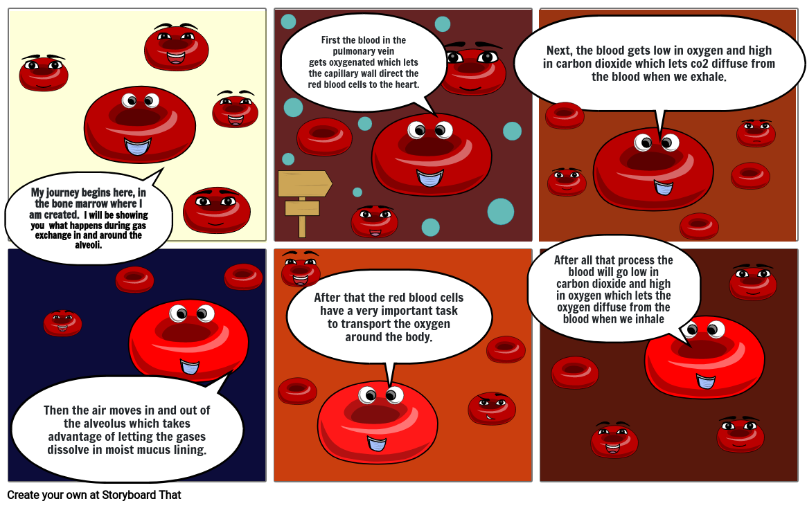 What Happens To Dead Red Blood Cells