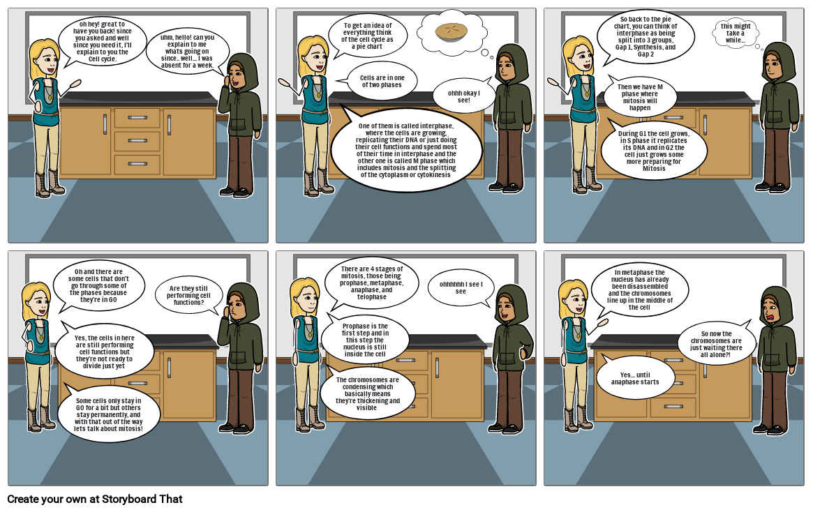 Cell Cycle Storyboard That Project