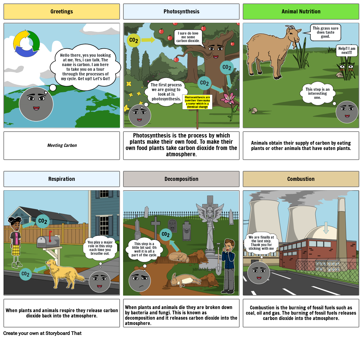 Carbon cycle