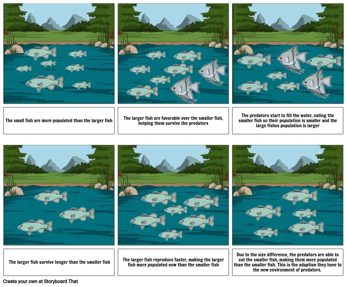 Fish- adaptations and natural selection