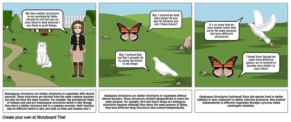 Biology: Homologous vs Analogous Structures Comic Strip