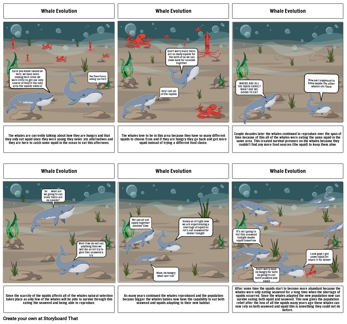 Whale Evolution Storyboard 