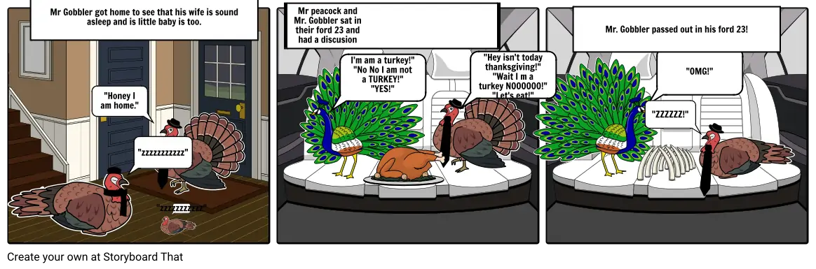 Steven Gartland Turkey Storyboard