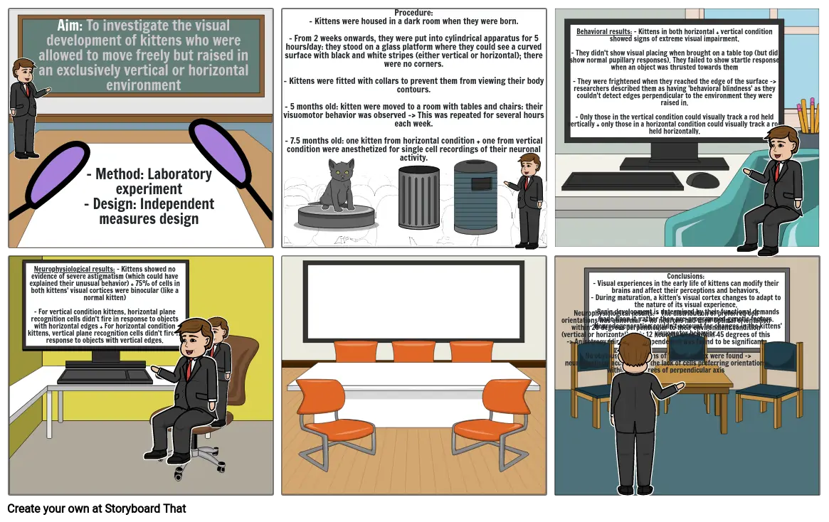 Blakemore and Cooper&#39;s study Storyboard