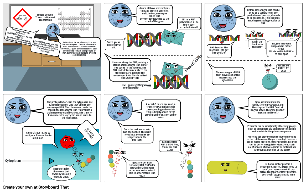 Translation And Transcription Storyboard Par 73151870