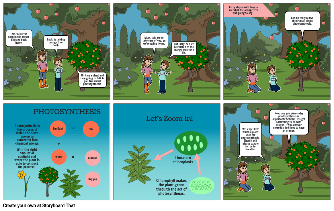 Photosynthesis Cartoon