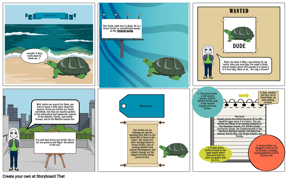 sea turtles Storyboard by 75372ecf