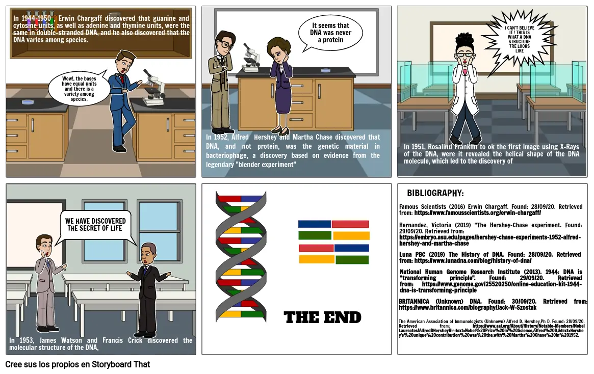 STORY BOARD DNA DISVOERY PART 2