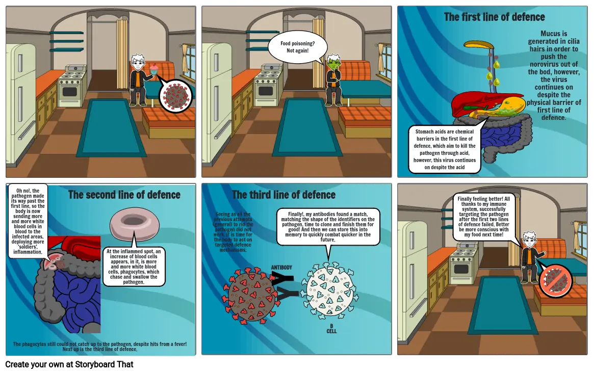 immune response