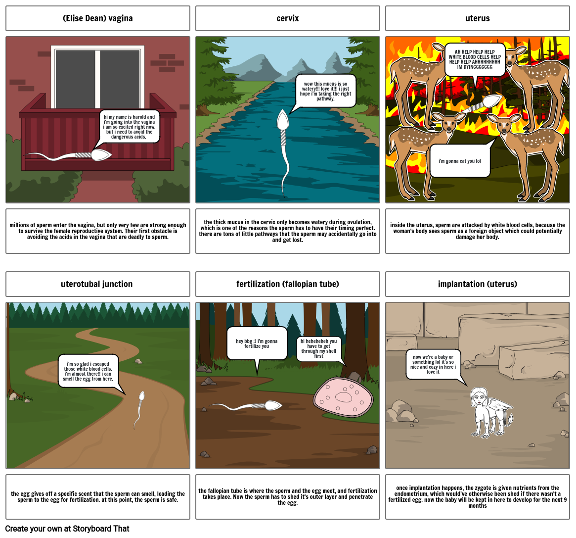 journey of the sperm Storyboard por 78e94280