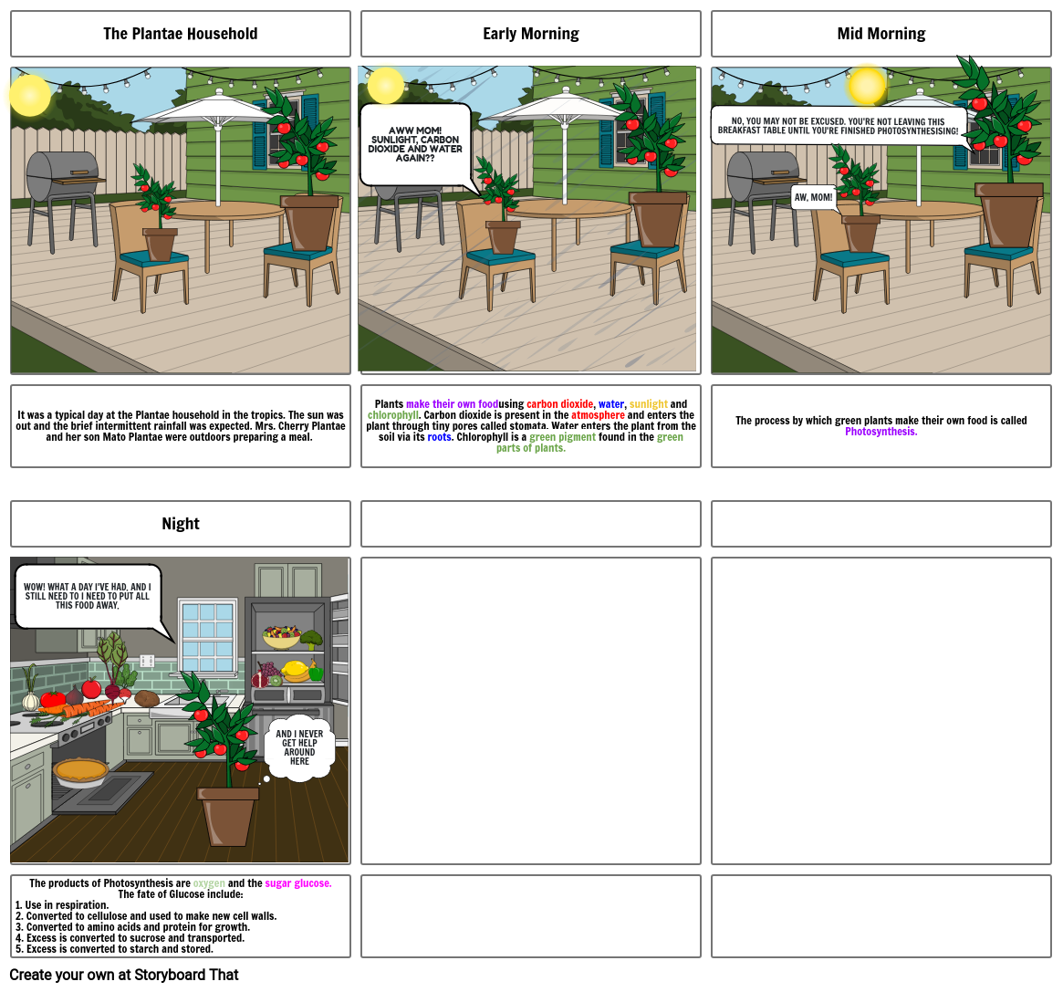 Photosynthesis Storyboard by 791a88d9