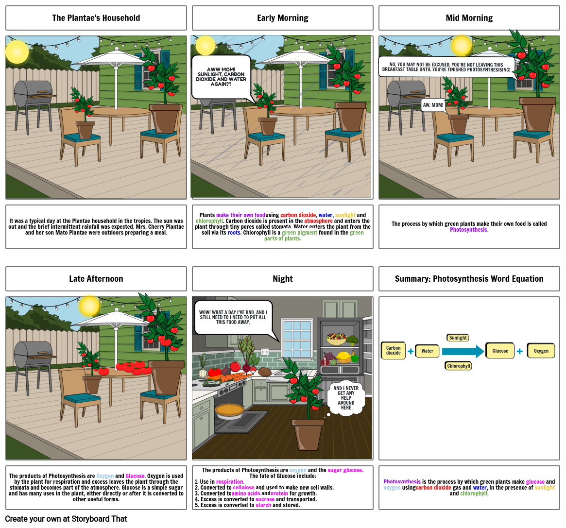 Photosynthesis Storyboard By 791a88d9