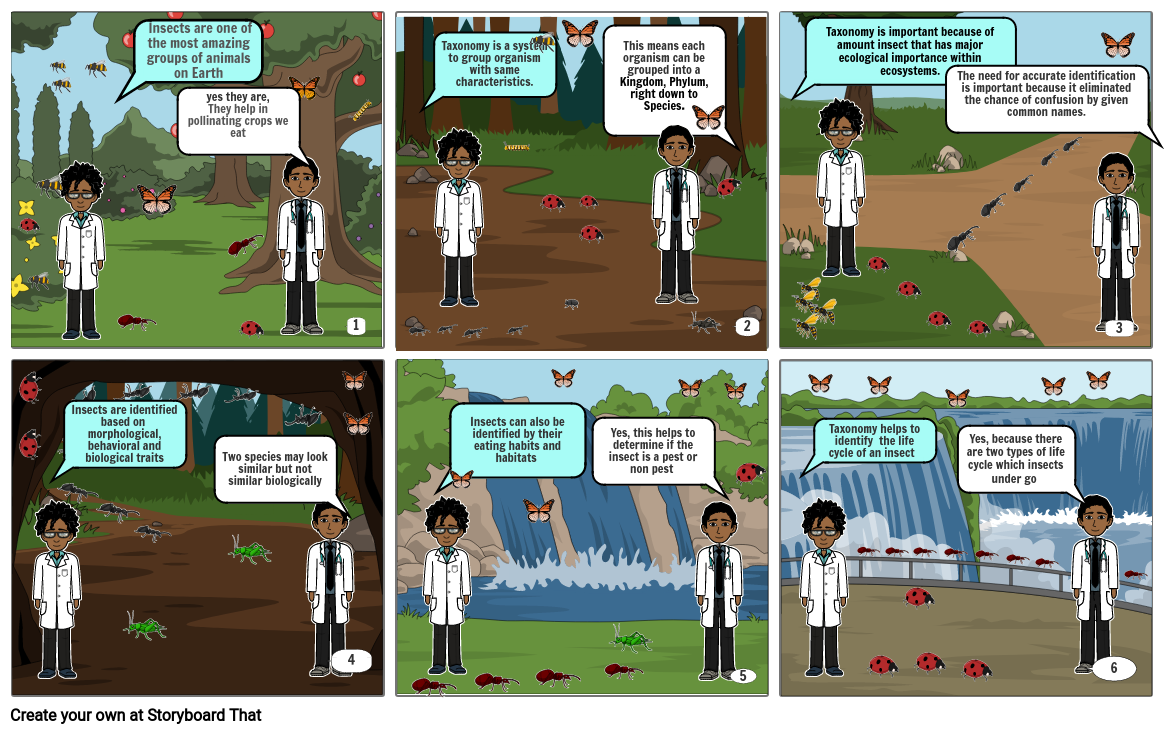 importance-of-insect-taxonomy-storyboard-by-7933c313