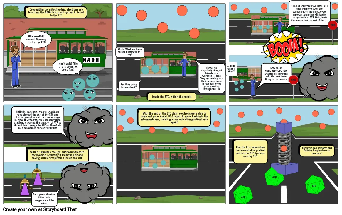 Cellular Respiration Storyboard