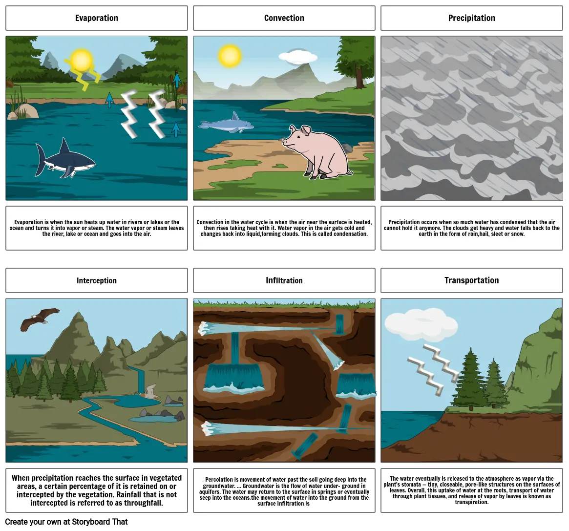 water cycle