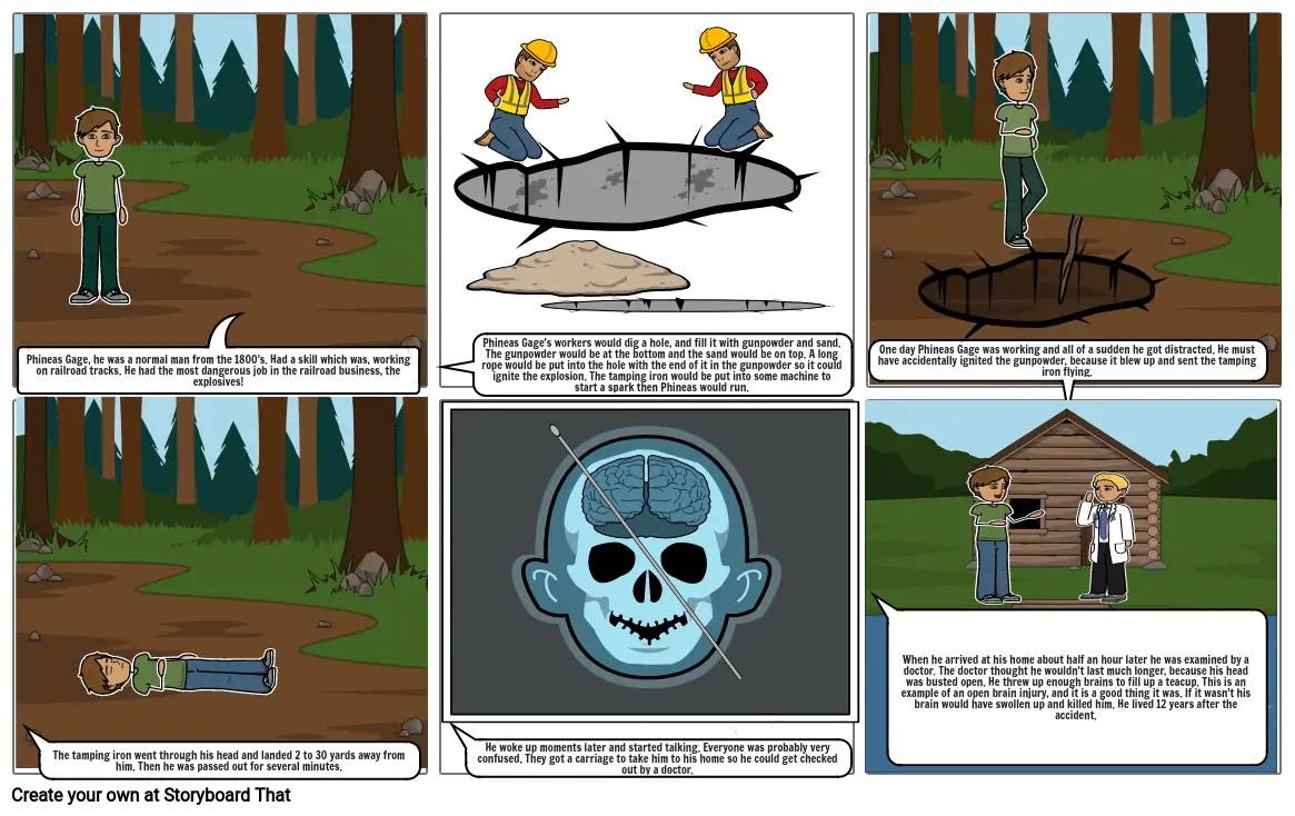 Phineas Gage Storyboard By 7df7a4db 3303