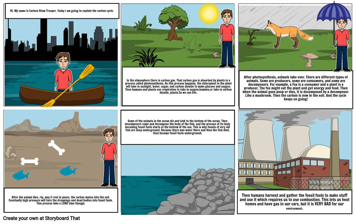 carbon cycle