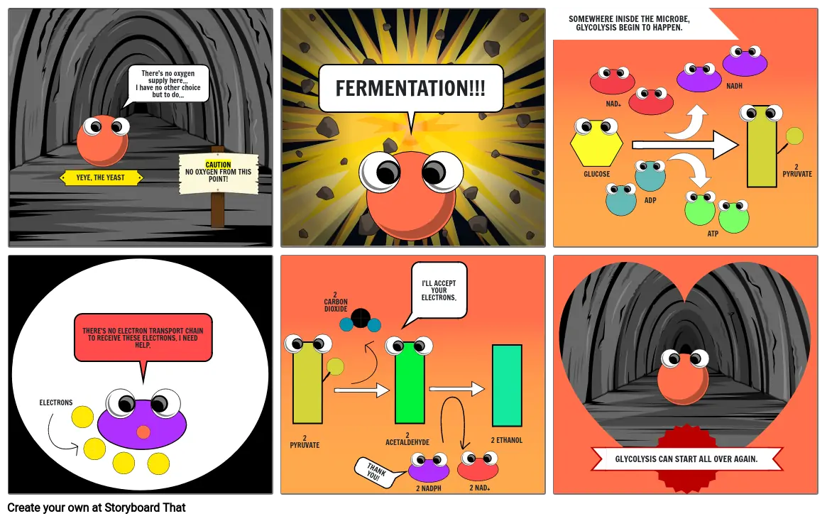 fermentation