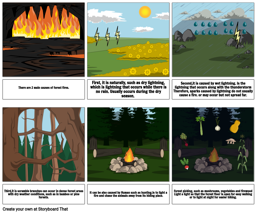 There are 2 main causes of forest fires. First, it i...