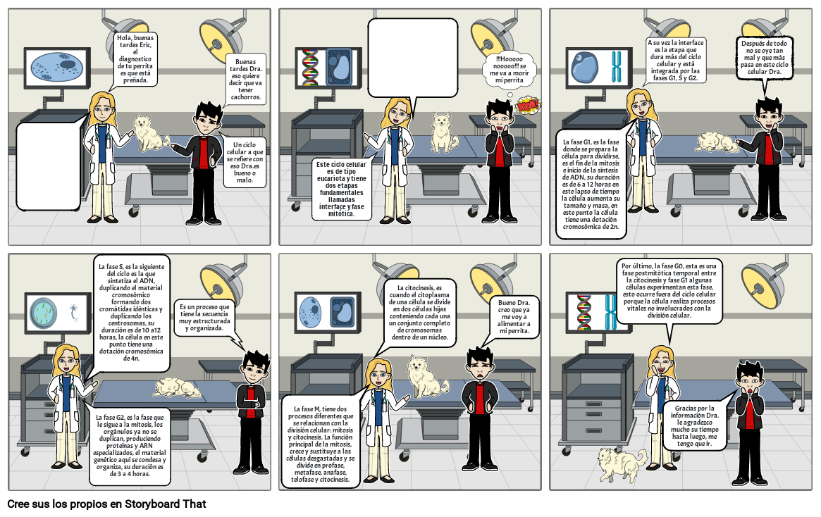 La Importancia Del Ciclo Celular Storyboard By 8043dd3e 3121