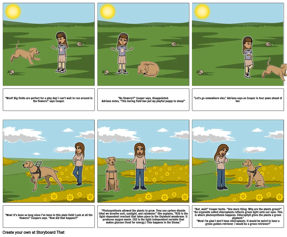 Photosynthesis Comic Strip