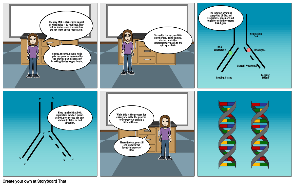 Biology Storyboard by 80b8ccfe