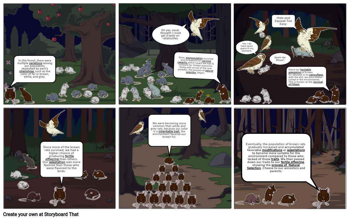 principles-of-natural-selection-storyboard-by-6730723c