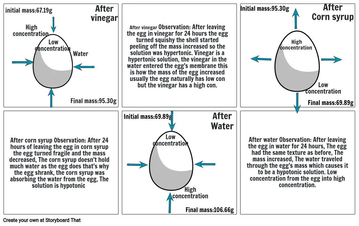 osmosis project